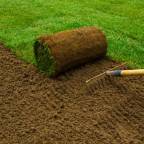 Trawnik w rolkach - jakie są zalety i wady, jak go pielęgnować?